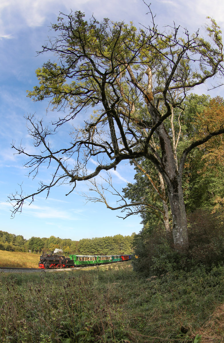 Strahlendes  Herbstwetter  begleitete HP. und mich beim Flascherlzugknipsen am Nachmittag des 12.Septmber 2018