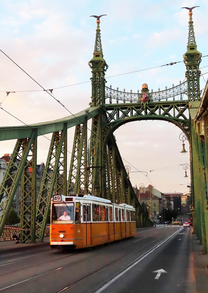 Strassenbahn der Linie 49 überquert in der Abendsonne auf der Freiheitsbrücke die Donau. Budapest, 14.6.2023