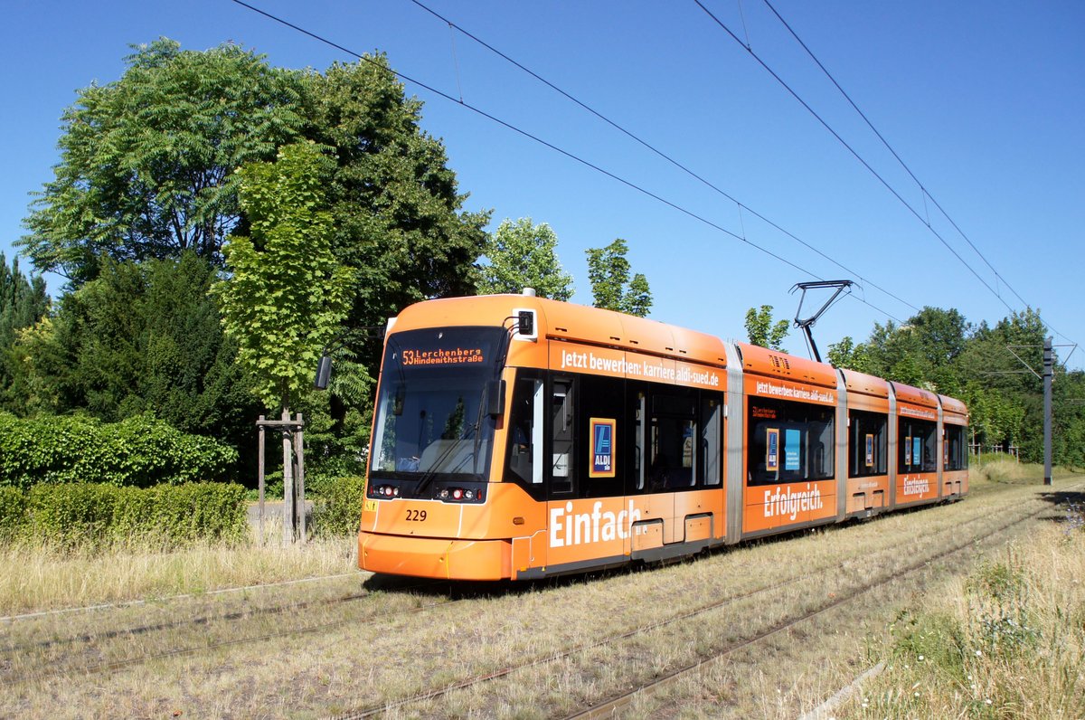 Straßenbahn Mainz / Mainzelbahn: Stadler Rail Variobahn der MVG Mainz - Wagen 229, aufgenommen im Juni 2019 in Mainz-Bretzenheim.