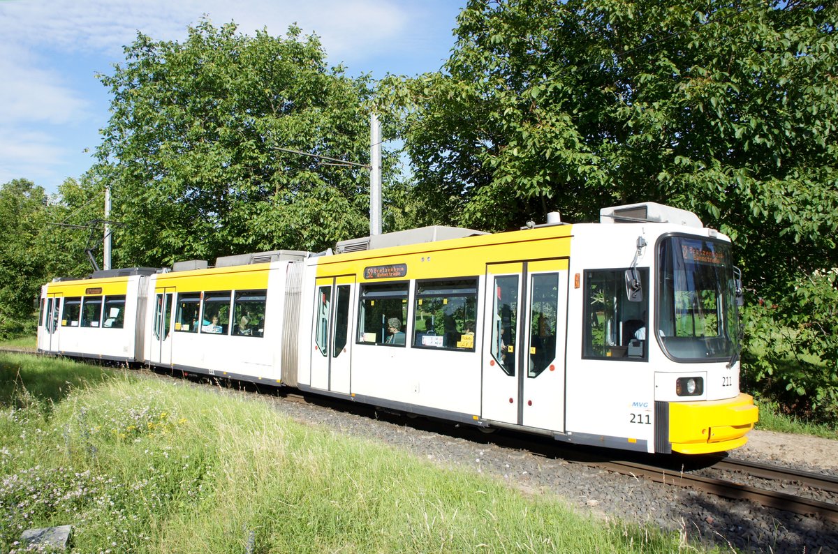 Straßenbahn Mainz: Adtranz GT6M-ZR der MVG Mainz - Wagen 211, aufgenommen im Juli 2016 in Mainz-Bretzenheim.