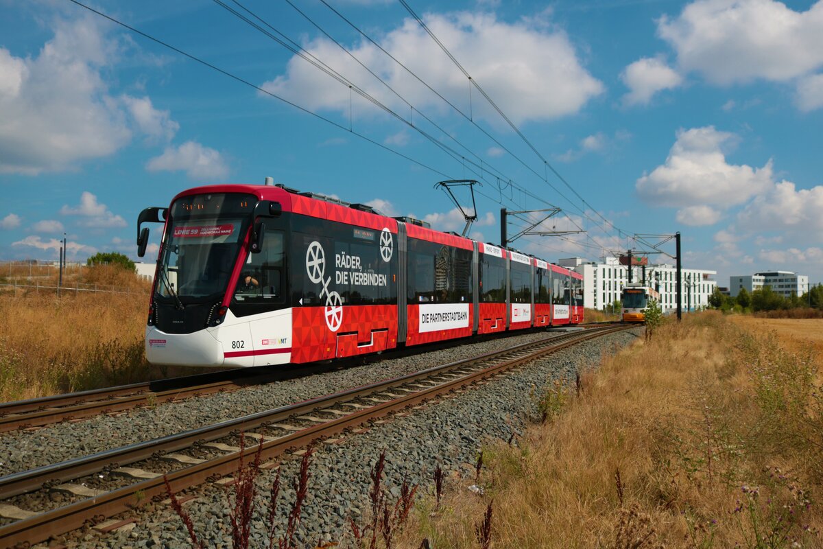 Straßenbahn Mainz am 16.08.22 mit dem Erfurter Gastfahrzeug Stadler Tramlink Wagen 802 auf der Linie 59
