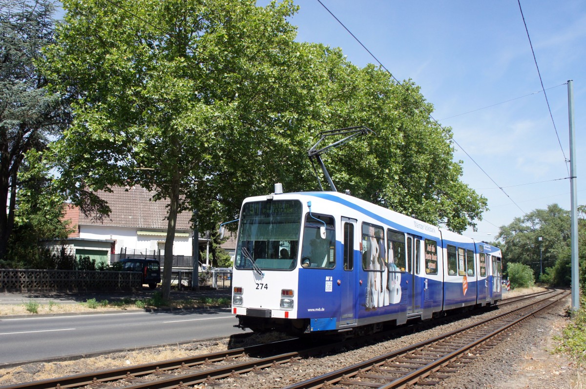 Straßenbahn Mainz: Duewag / AEG M8C der MVG Mainz - Wagen 274, aufgenommen im Juni 2015 in Mainz-Gonsenheim.
