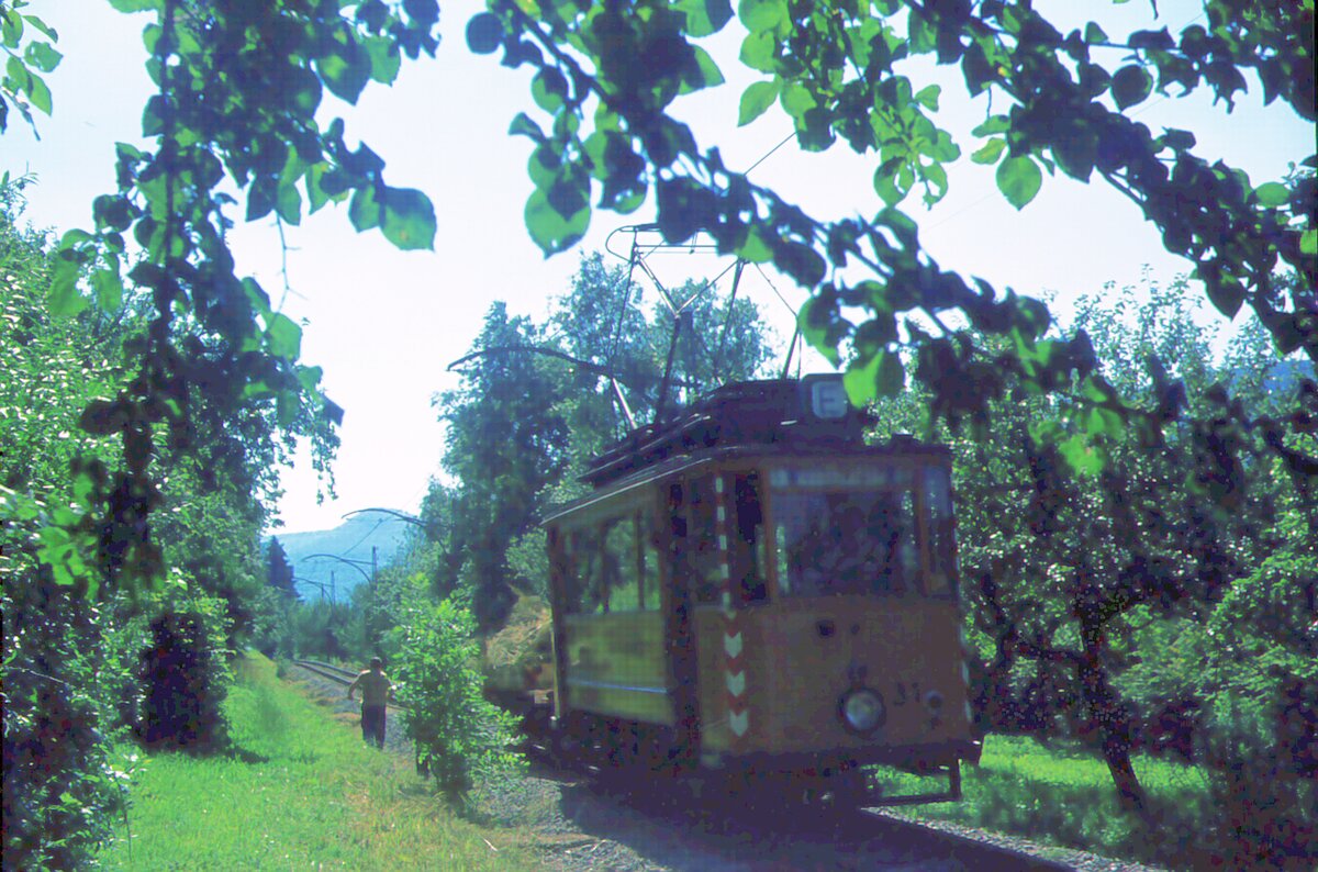 Straßenbahn Reutlingen__ATw 31 im Streckendienst zwischen Eningen und Südbhf. Wenige Wochen vor der Betriebseinstellung : zwei Mann laden von Hand Grasschnitt auf den Niederbordwagen auf der Strecke zwischen Südbhf. und Eningen.__29-07-1974