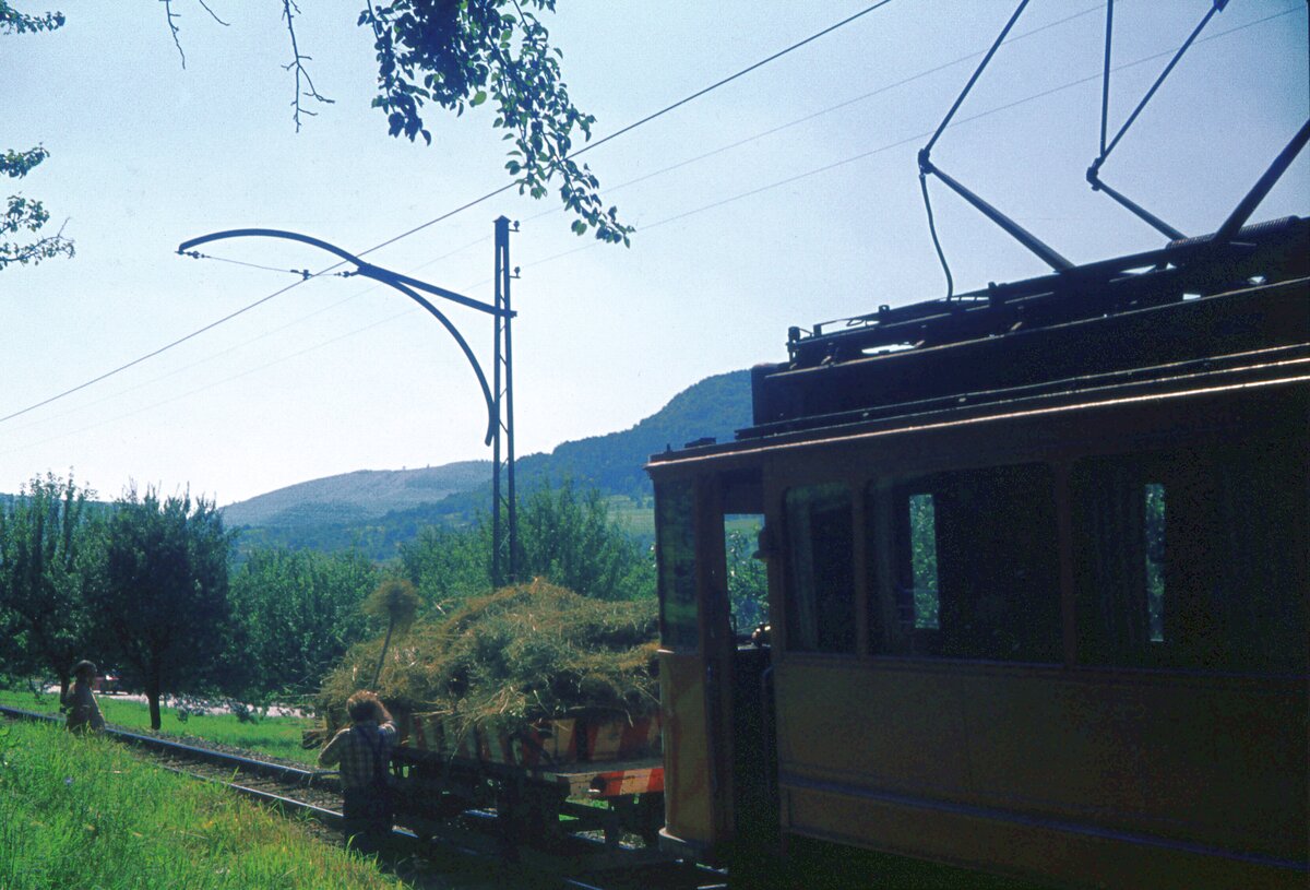Straßenbahn Reutlingen__ATw 31 im Streckendienst zwischen Eningen und Südbhf. Wenige Wochen vor der Betriebseinstellung wird nochmal ordentlich Grasschnitt vom Bahndamm-Rand eingesammelt...__29-07-1974