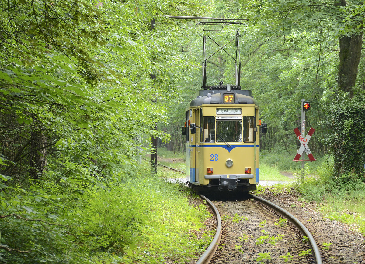 Straßenbahn Woltersdorf (Linie 87 - Wagen 28). Die Strecke überquert das Fredersdorfer Mühlenfließ sowie genannte Straße und führt dann in ostnordöstlicher Richtung etwa zwei Kilometer geradlinig durch den Forst Köpenick. Am Rande des Waldgebiets überquert die Bahn die Grenze zu Woltersdorf. Aufnahme: 10. Juni 2019.