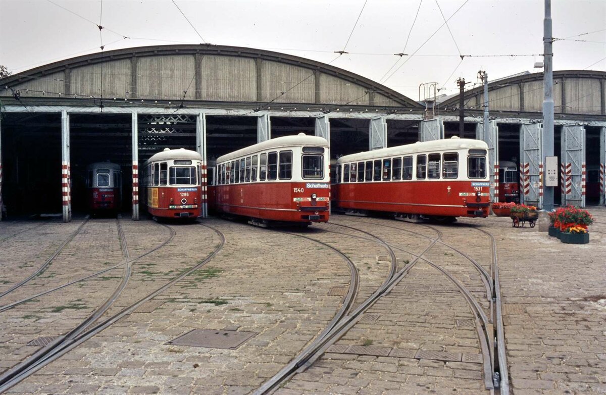Straßenbahnbeiwagen der Serie SGP c1 vor einem Betriebsbahnhof der Wiener Straßenbahn.
(16.08.1984)