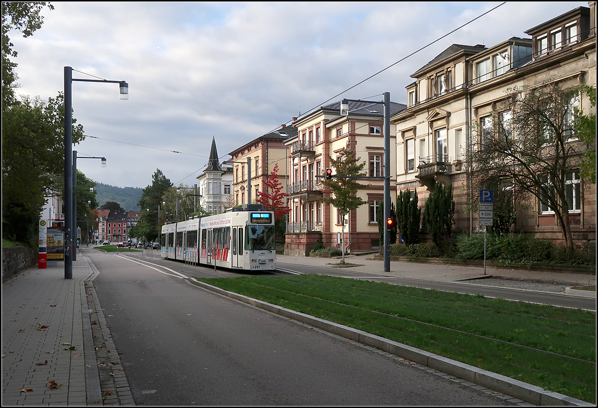 Streckendokumentation zweite Nord-Süd-Strecke in Freiburg - 

Der eigene Bahnkörper in der Werthmannstraße mit Rasengleis. Die Oberleitungsmasten mit der Einfachfahrleitung fügt sich ohne zu stören in das Straßenbild ein. Die GT8Z-Straßenbahn hat die Haltestelle Erbprinzenstraße erreicht. Diese Haltestelle hat keine Bahnsteige, die Fahrgäste warten im Gehwegsbereich. Beim Halt einer Straßenbahn wird der Fahrzeugverkehr (hier vor allem Fahrräder) mittels Ampeln anhalten und die Fahrgäste können gefahrlos die Fahrbahn überqueren. Die Blickrichtung geht nach Süden.

07.10.2019 (M)