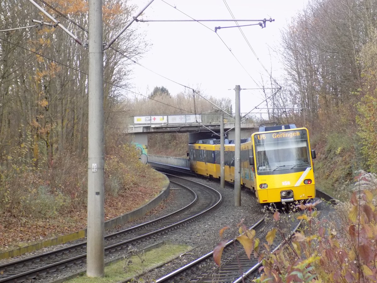 Stuttgart, Eine DT8.11 Doppeltraktion als U6 Richtung Gerlingen, hier bei Möhringen Freibad
