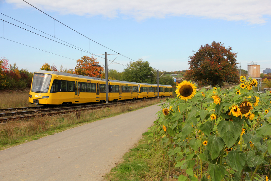 Stuttgarter Straßenbahnen AG 2011 (Arbeitsfahrzeug) // Leinfelden // 10. Oktober 2022
