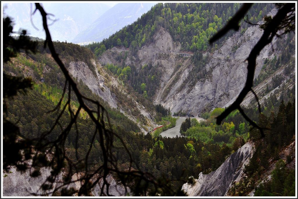 Such den Zug in der Vorderrheinschlucht/Ruinaulta. RE1228 zwischen Trin und Versam-Safien. (05.05.2015)