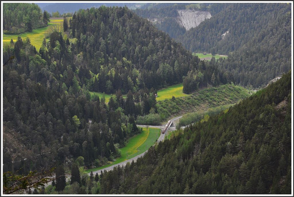 Such den Zug in der Vorderrheinschlucht/Ruinaulta. RE1249 zwischen Valendas-Sagogn und Versam-Safien auf der Carreabachbrücke. (05.05.2015)