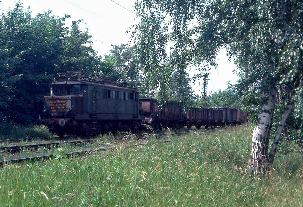 Suchbild mit Altbau: 244 054 versteckt sich - farblich perfekt angepasst - am 24.06.1985 im Dschungel des Bahnhofs Gro�deuben.
