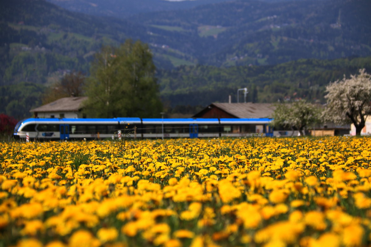Summ Summ Summ ,... Da fliegen viele Bienchen rum ,.. 

17.04.2016