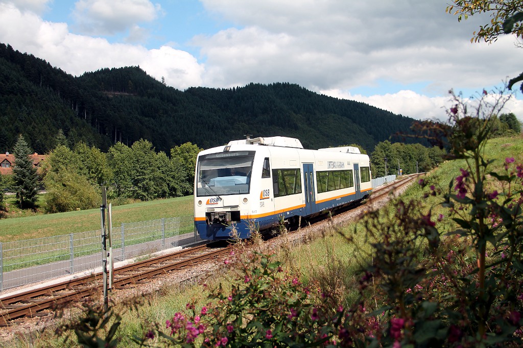 SWE 87792 mit VT 517  Steinach  bei Unterharmersbach (08.09.2015)