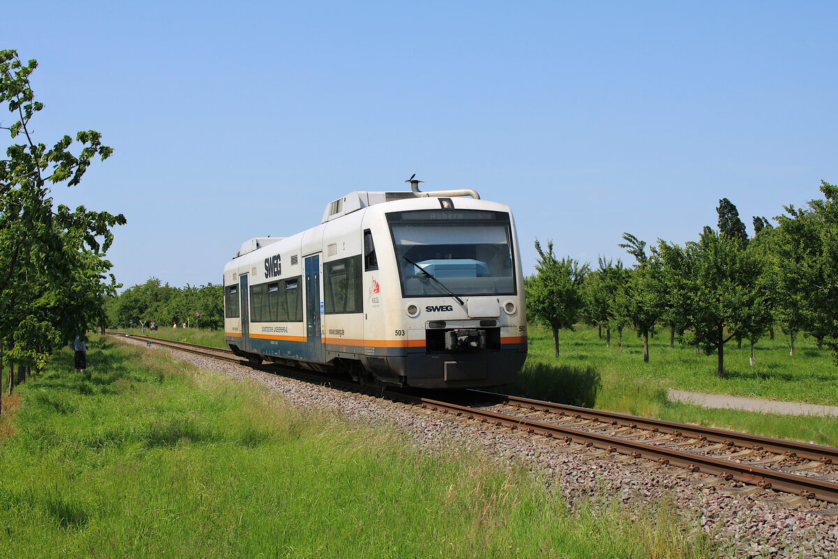 SWEG 650 597 dieselt gemütlich über die Achertalbahn von Achern nach Ottenhöfen im Schwarzwald, hier bei Oberachern. (29.05.2023)