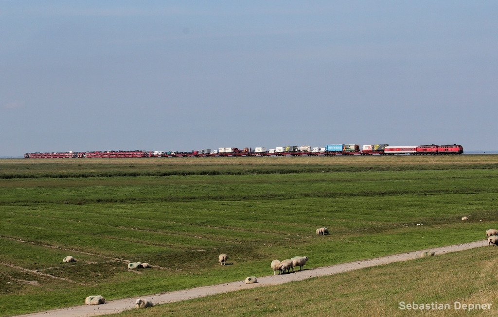 Syltshuttle bei Klanxbll nach Niebll am 28.8.13