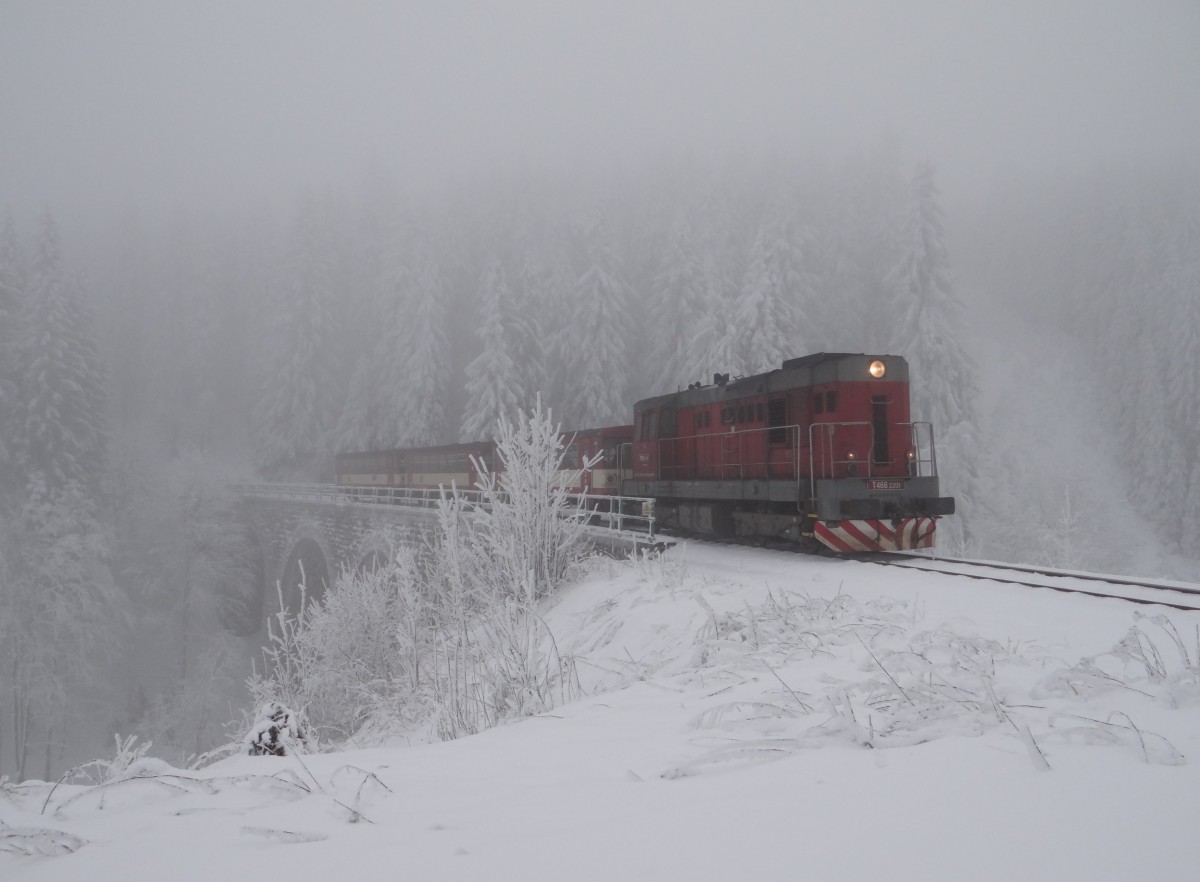 T 466 2201 ist am 01.02.14 in Pernink zusehen