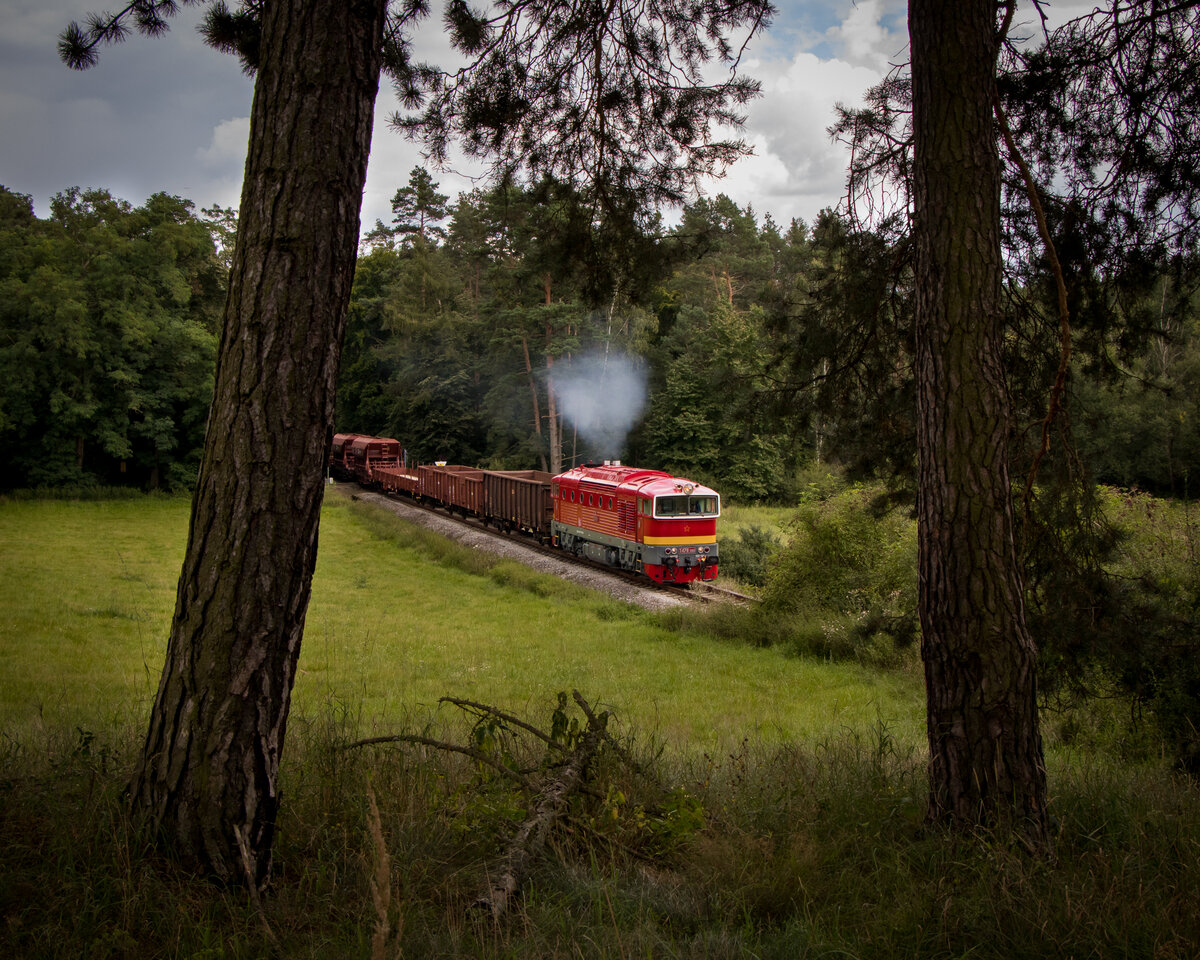 T 478 3101 - Olešná 29.08.21