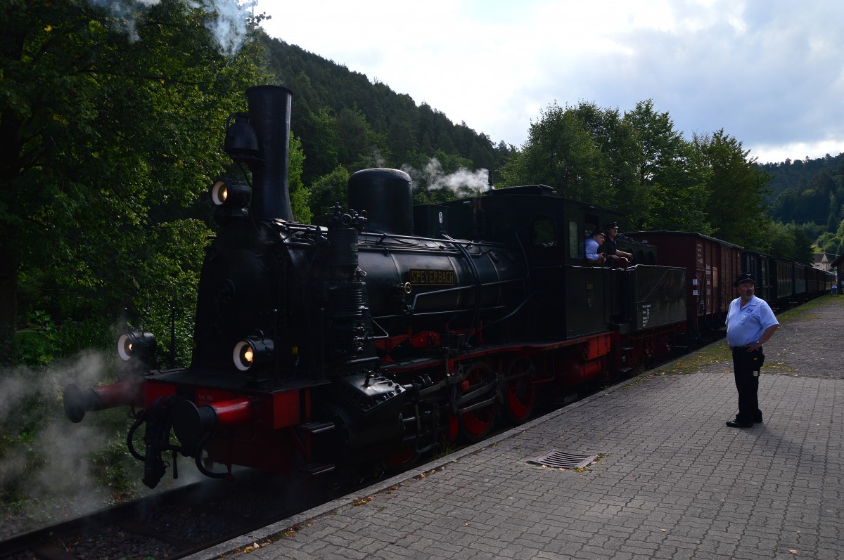 T3 Speyerbach in Elmstein am 9.9.2015