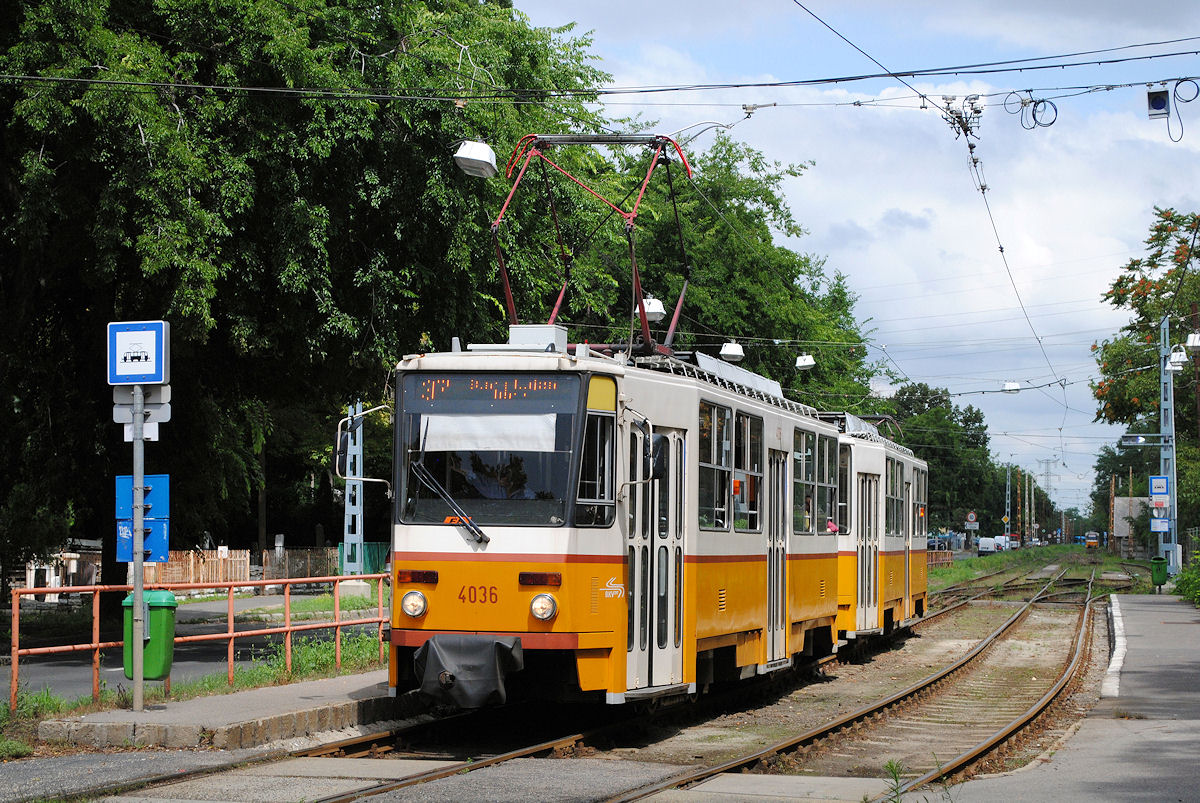T5C5 - Tandem in der Haltestelle uj köztemetö. (31.07.2014)