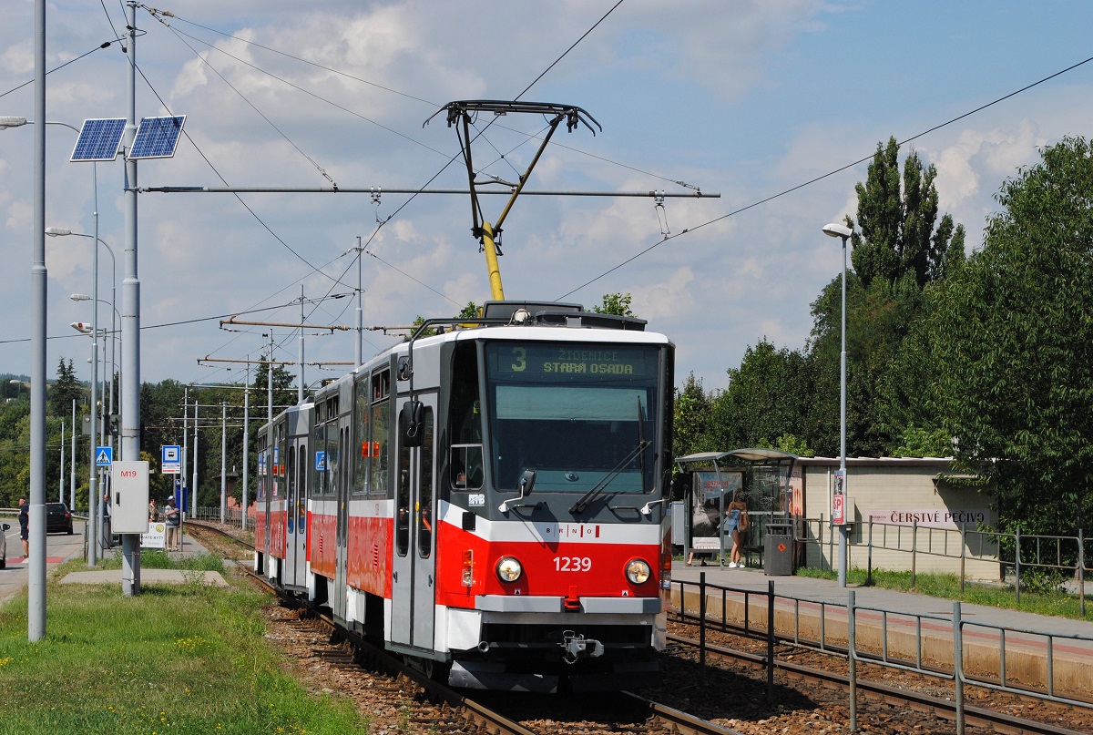 T6A5 1239 + 1240 (ex. Prag 8713 + 8699) im Einsatz auf der Linie 3 nach Zidenice - Stara Osada kurz hinter der Haltestelle Zoologicka zahrada. (15.08.2022)