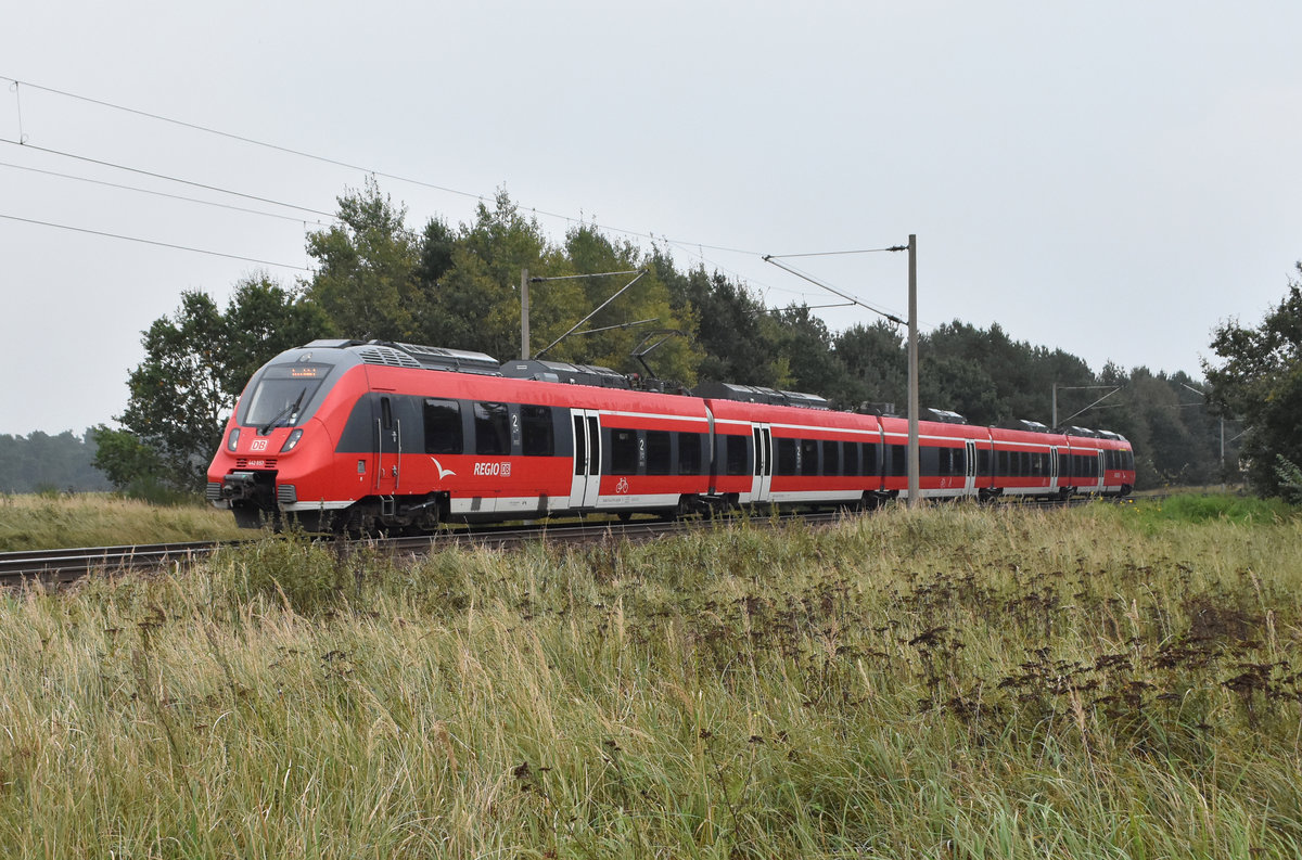 Tägliche Überführung eines Hamsters BR 442 zum Bahnhof Büchen, geht dann zurück als RE1 nach Schwerin. Circa 3km östlich von Büchen 28.09.2017