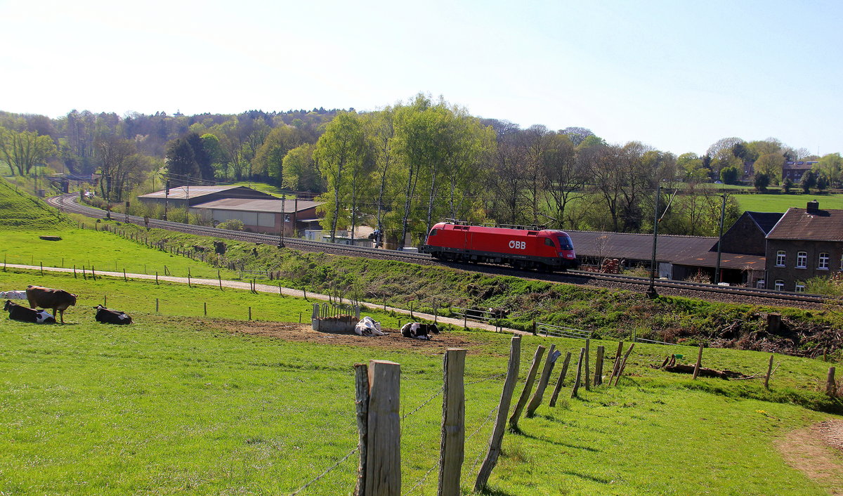 Taurus ÖBB 1116 129 von ÖBB  kommt von einer Schubhilfe vom Gemmenicher Tunnel zurück nach Aachen-West. 
Aufgenommen von einem Weg in Reinartzkehl.
Bei schönem Frühlingswetter am Nachmittag vom 19.4.2019. 