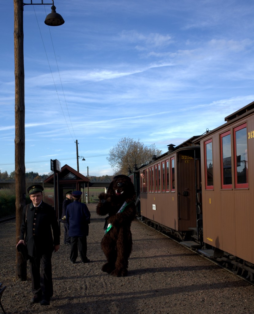 Teddybren und Teddybreneltern haben im Teddybrenzug freie  Fahrt , ob das auch fr den Lnitzdackel zutrifft, entzieht sich der Kenntnis des Fotografen.
Halt in Friedewald bad (Dippelsdorf)  27.10.2013  10:09 Uhr
