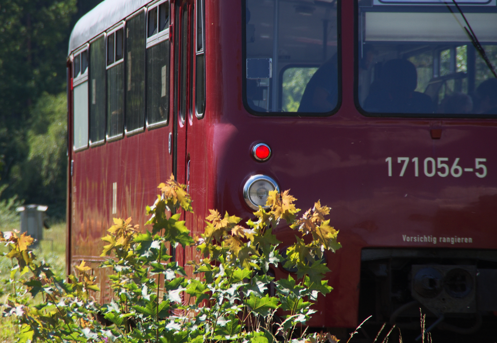 Teilstck - Nachdem 171 056-5 an mir vorbei gebrummt war stelle ich mal 200 mm Brennweite ein und drckte einige Male ab.
Beim ersten Schu kam diese Teilansicht heraus.
Da ich dies mal fr eine sehenswerte Perspektive halte mchte ich das Photo hier mal zeigen!

10.08.2013 Bahnstrecke 6656 Schnberg - Schleiz bei Schnberg/Vogtland.