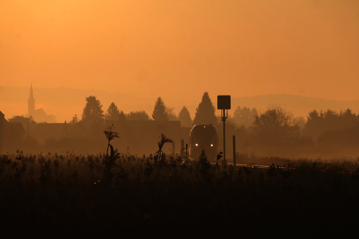 Teilweise verschwinden die goldenen Hirse Felder bereits aus der Landschaft. Hier bei Frauental steigt es langsam aus dem Nebel heraus. 16.09.2016