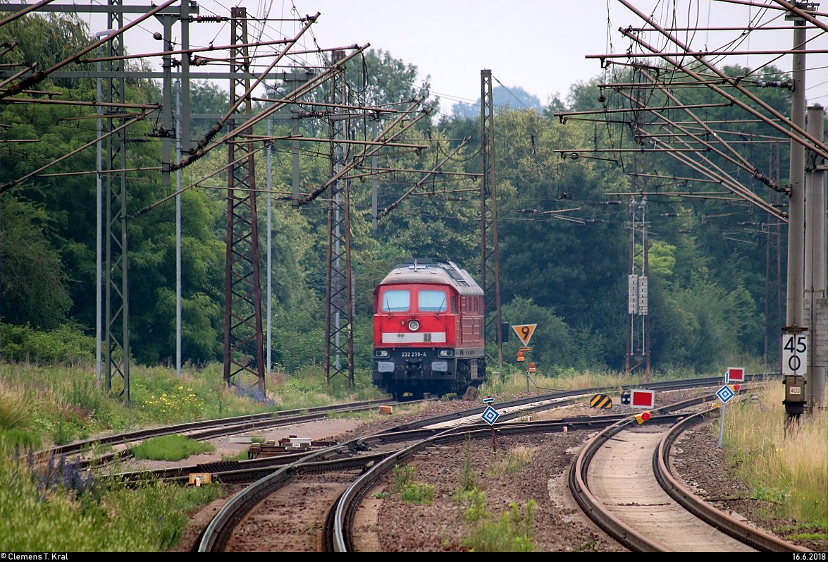 Tele-Blick auf 232 239-4 der Erfurter Bahnservice GmbH (EBS), die im Vorfeld von Naumburg(Saale)Hbf abgestellt ist.
[16.6.2018 | 7:53 Uhr]