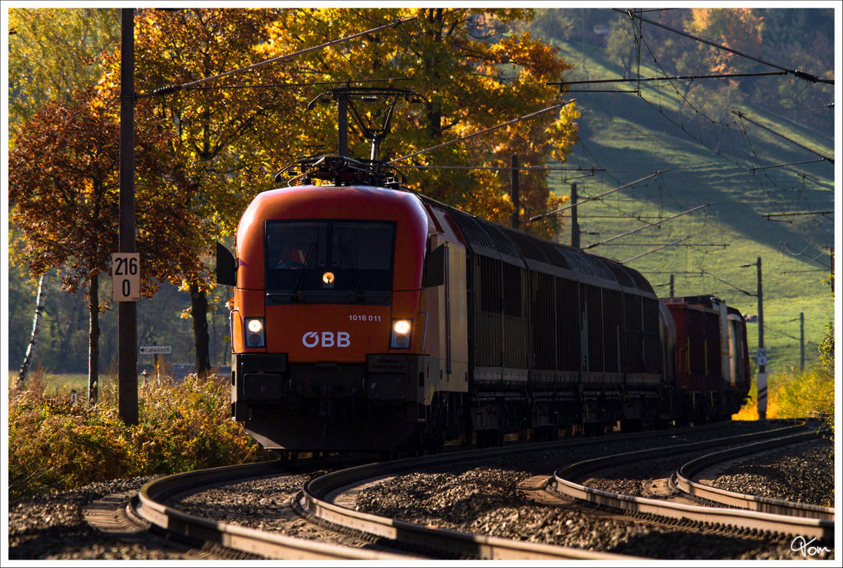 Teleaufnahme der 1016 011, welche mit einem G�terzug durch das herbstliche Murtal braust.
St.Lorenzen 10_2013