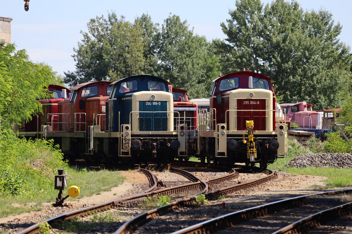 Teleblick auf des Gel�nde der LSI Brieske GmbH & Co. KG Lausitzer Schienenfahrzeug Instandhaltung.Hier werden Diesellokomotiven einer Revision unterzogen.
Links vorn 280 198-9  und 295 004-6 