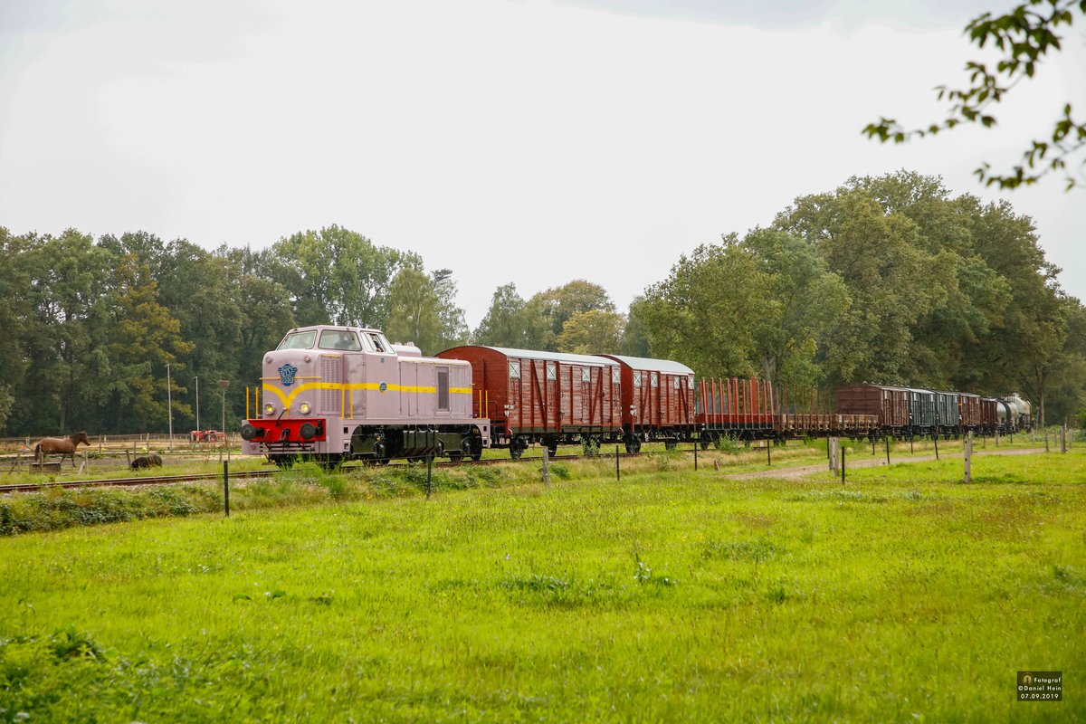 Terug naar Toen 2019: NS 2350 Diesellok mit Fotogüterzug bei der Ausfahrt aus Loenen, am 07.09.2019.
