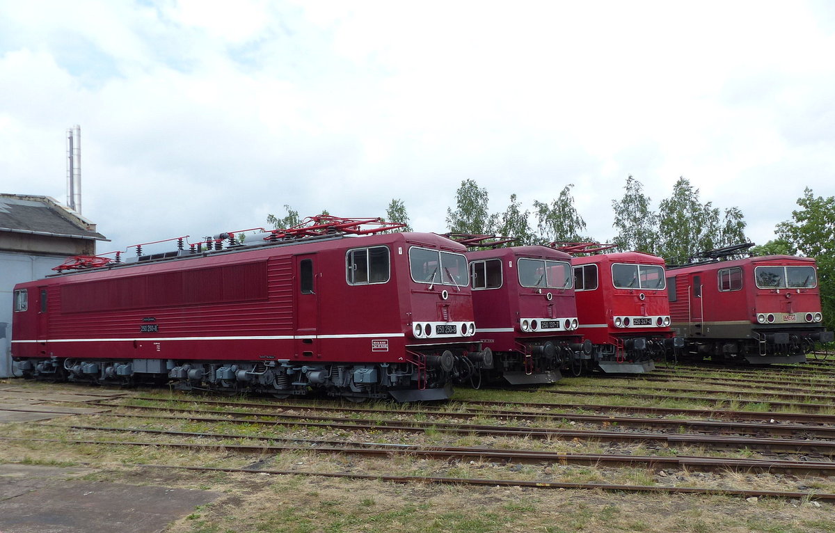 TEV 250 250-8 (91 80 6155 250-4 D-DB) und 3 weitere Loks der BR 250, am 02.06.2018 beim Eisenbahnfest im Eisenbahnmuseum Weimar.
