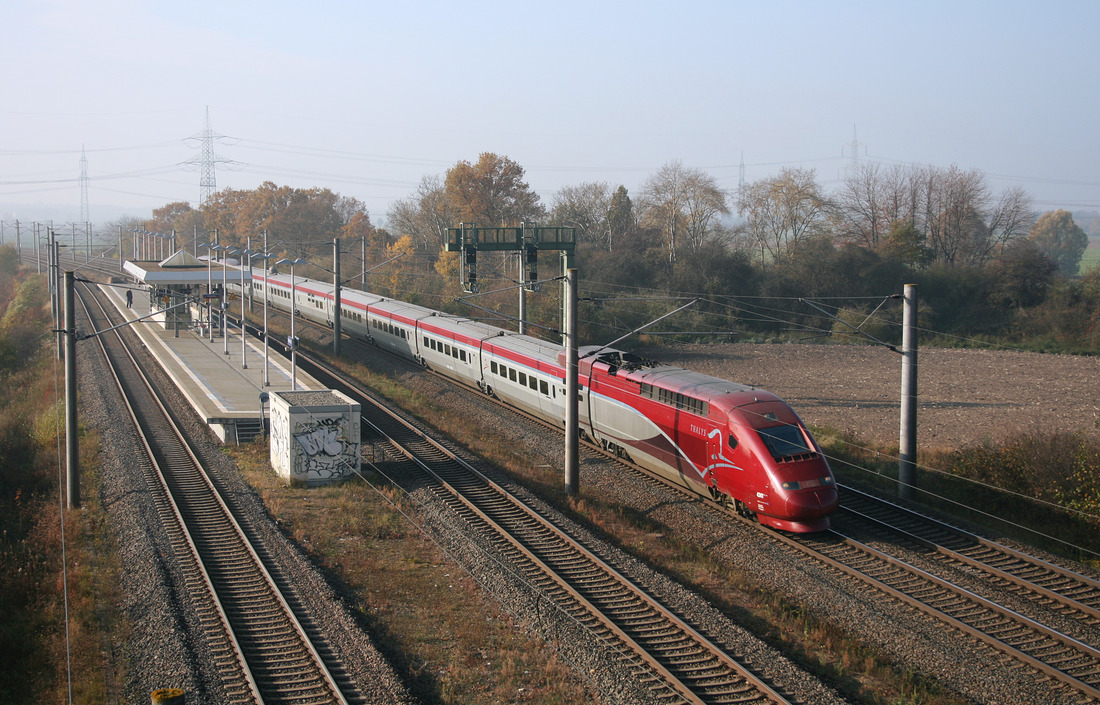 Thalys-Triebzug 4341 // Merzenich // 8. November 2011
