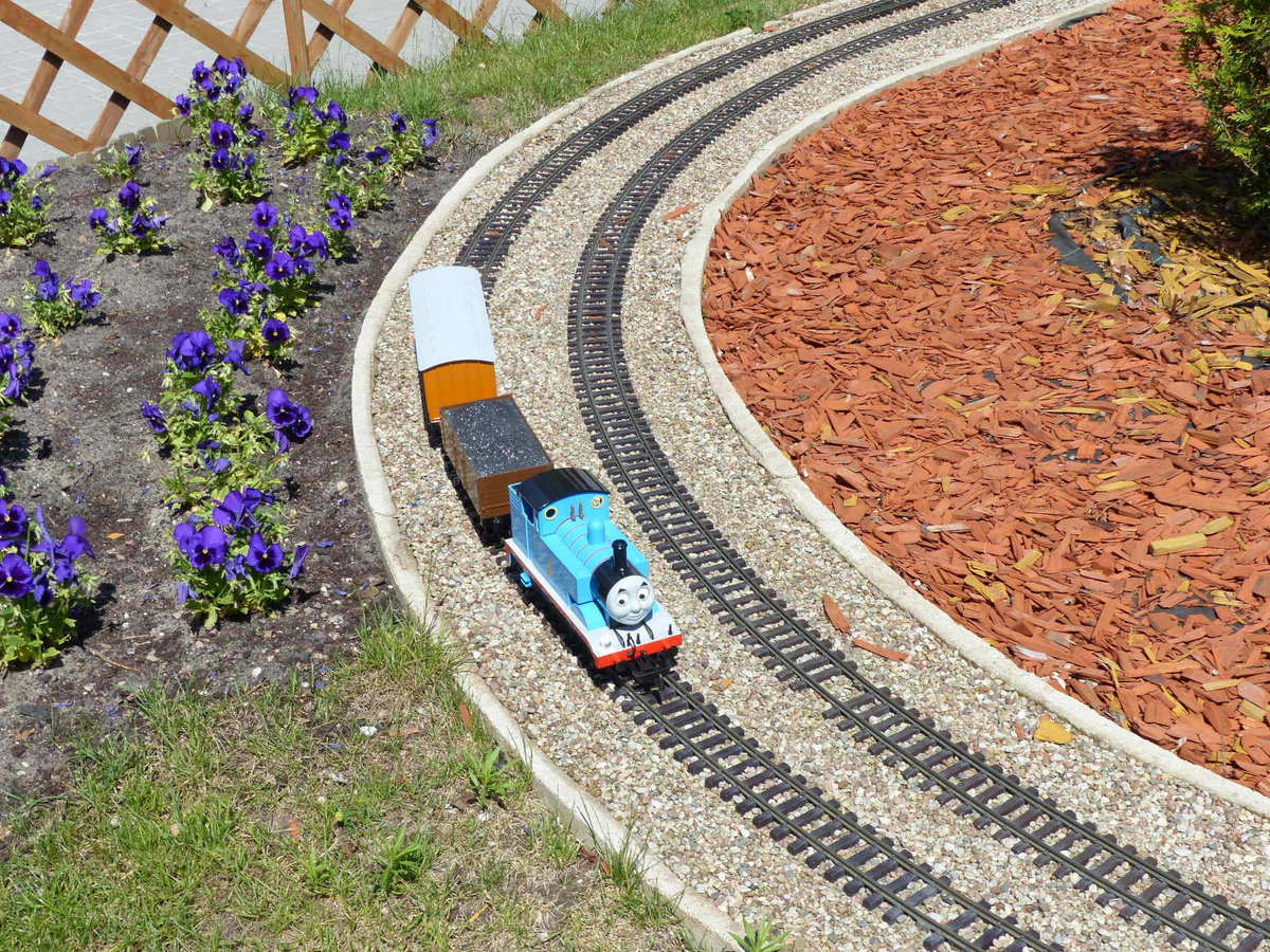 Thomas mit zwei Wagen zum anschauen, am 09.06.2017 im Park Miniatur i Kolejek in Dziwnów.