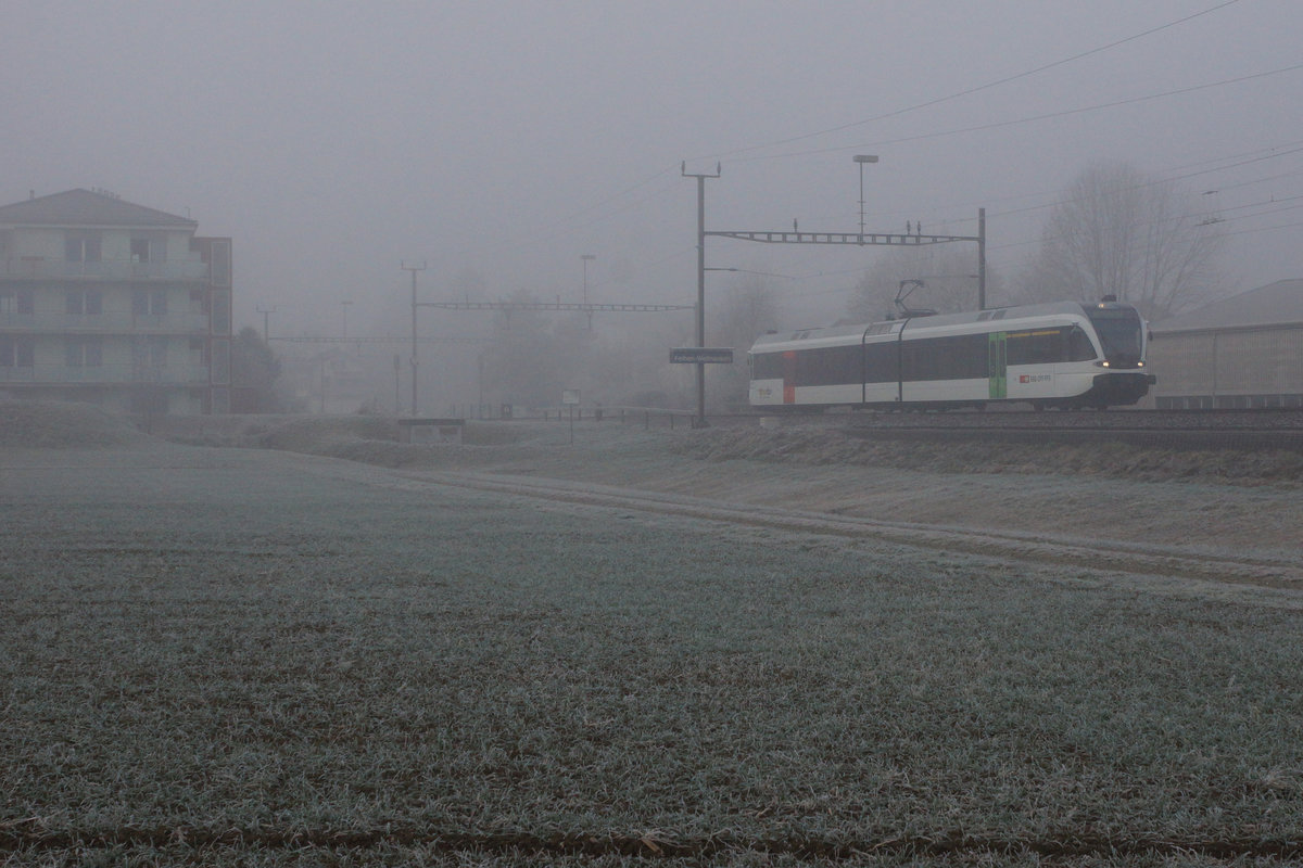 Thurbo: Die GTW aus dem Hause Stadler Rail von Thurbo und SBB machen bei dichtem Nebel sowie bei Sonne eine gute Figur.
Bei Felben-Wellhausen am 9. Dezember 2016.
Foto: Walter Ruetsch