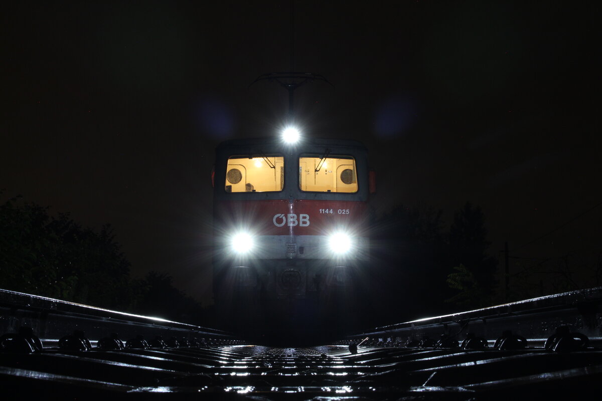 Tief im  Urwald  des Zentralverschiebebahnhofs Wien Kledering steht die 1144 025 in einem  Stutzn  (Abstellgleis) und wartet auf den nächsten Einsatz der sie in Richtung Graz bringen wird.
Am Ende des finsteren Abstellgleises wurde am 4.8.2021 dieses Bild aufgenommen.