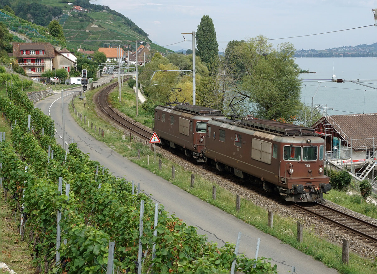 TOD GESAGTE LEBEN LÄNGER.
Noch sind die braunen Bären unentbehrlich.
BLS Re 425-DUO als Lokzug nach Cornaux bei Twann auf der Einspurstrecke am 12. August 2020.
Foto: Walter Ruetsch