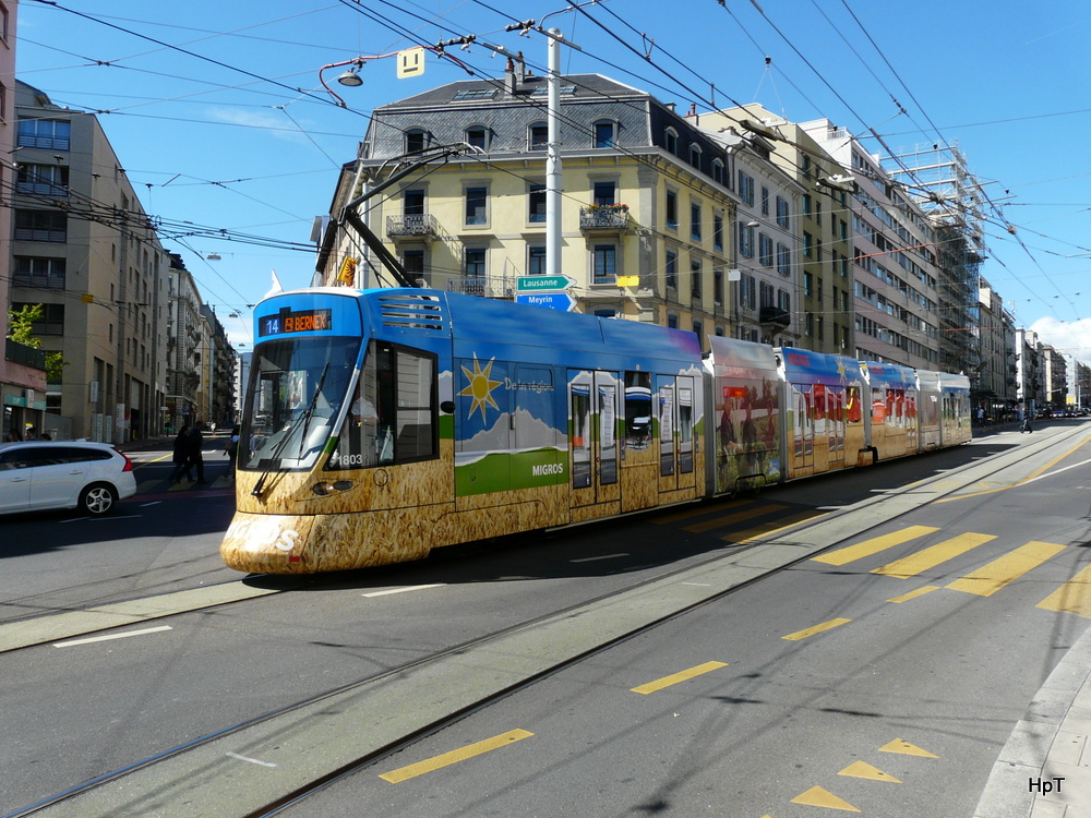 TPG - Tram Be 6/10 1803 mit Werbung unterwegs auf der Linie 14 in der Stadt Genf am 09.09.2013