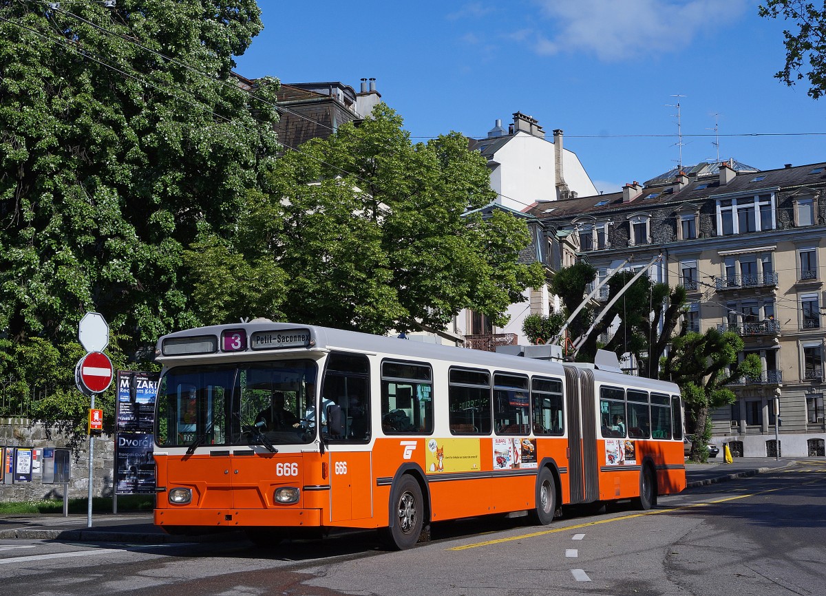tpg: Trolleybus 666 der Marke Saurer noch mit dem alten Anstrich versehen auf der Linie 3 im Sondereinsatz am 11. Mai 2014. Da Trolleybusse in der Schweiz dem Eisenbahngesetz unterstehen, wurde diese Aufnahme bei den Bahnen aufgeführt.
Foto: Walter Ruetsch