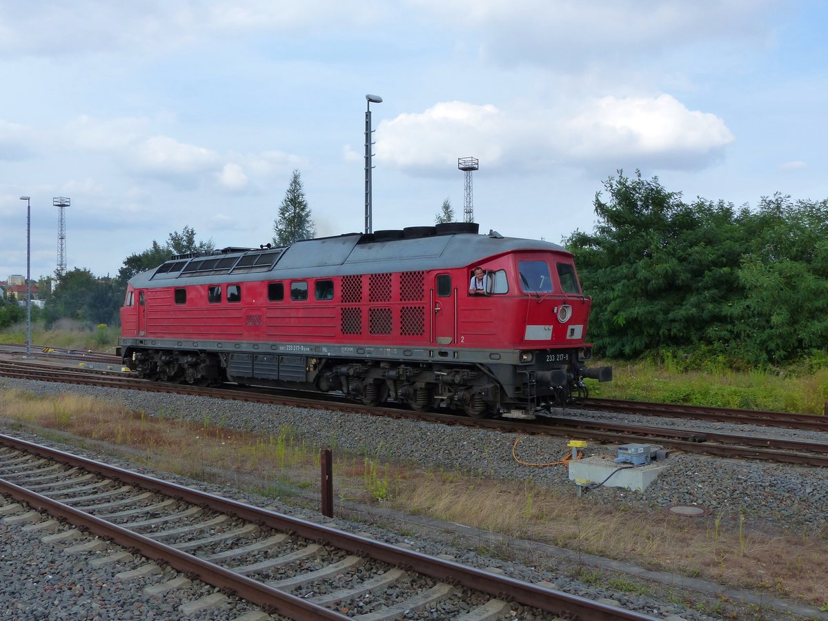 TrainLog GmbH Ludmilla, 233 217-9 ( 9280 1233 217-9 D-TLVG ) auf der Durchfahrt in Gera am 3.8.2020