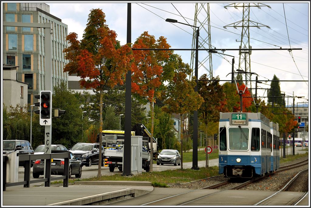 Tram 2000 der Linie 11 beim Fernsehstudio. Auch in Zürich macht sich der Herbst bemerkbar. (24.09.2015)