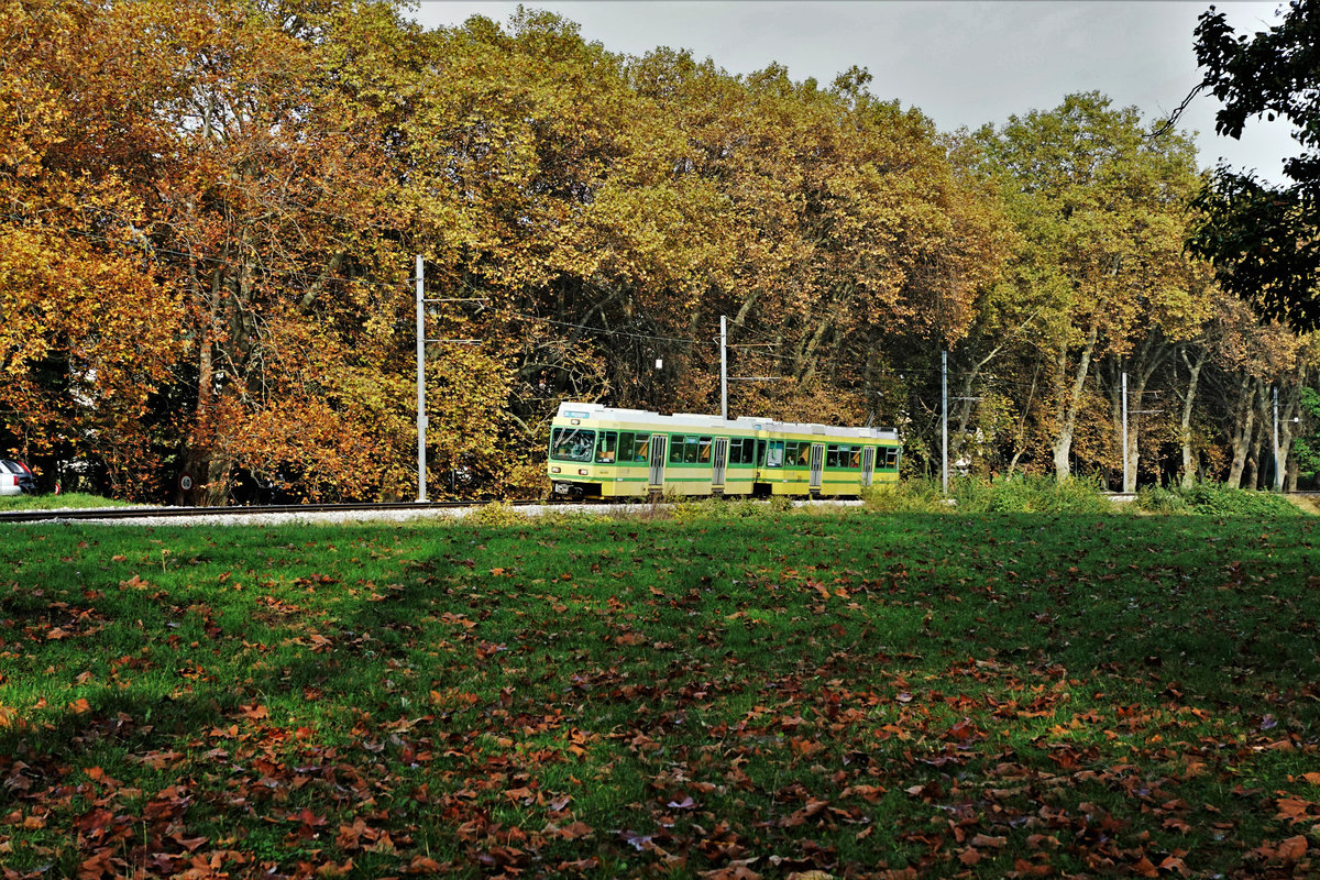 trans N
transports publics neuchâtelois
Am Sonntag den 27. Oktober 2019
hiess es
Journée d'adieu aux rames Littorail.
Während 38 Jahren prägten diese eleganten Triebzüge das Bild der Transports Régionaux Neuchâtelois (TRN). Nun werden sie durch die ehemaligen Triebzüge der Trogener Bahn ersetzt die im Appenzellerland nicht mehr gebraucht werden.
Foto: Walter Ruetsch   