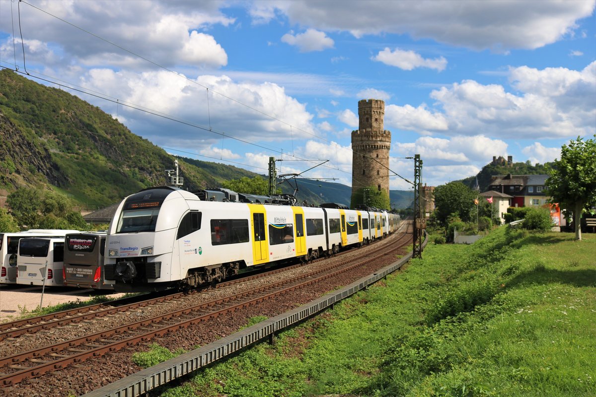 Trans Regio Mittelrheinbahn 460 009-4 und 460 xxx am 10.08.19 in Oberwesel