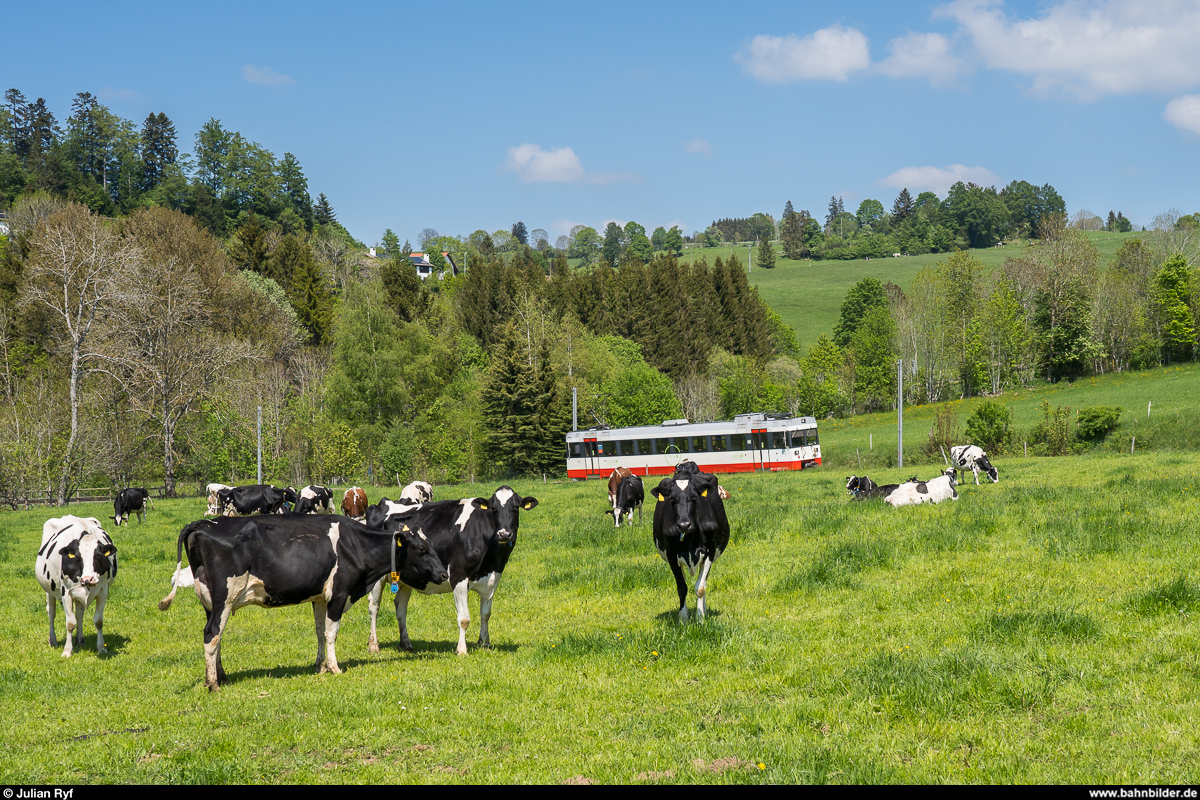 TransN BDe 4/4 7 als Regio La Chaux-de-Fonds - Les Ponts-de-Martel am 17. Mai 2020 kurz vor der Haltestelle Le Reymond.
