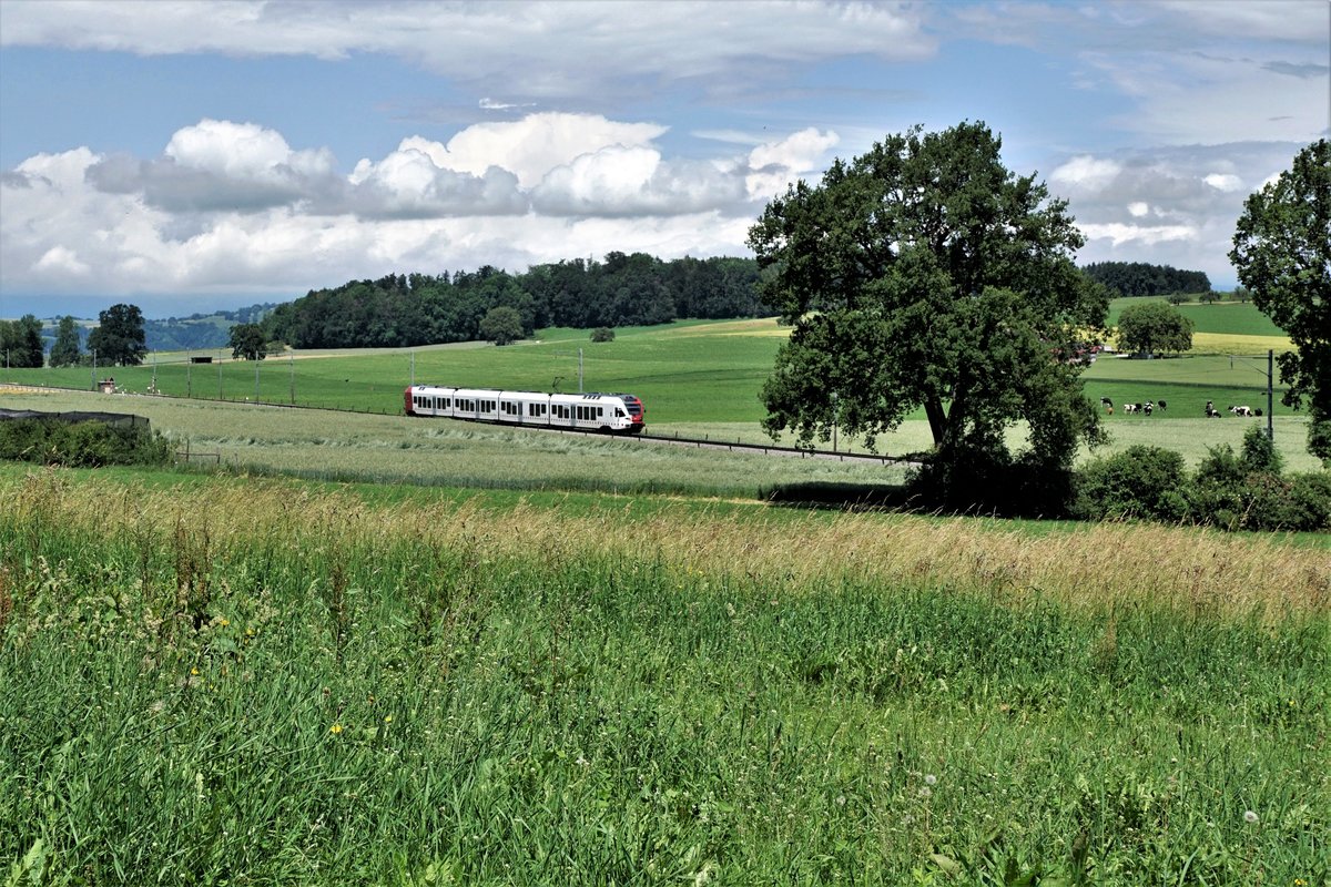 Transports publics fribourgeois/TPF.
RABe 527 Flirt als S 20 bei Cressier unterwegs vor der Kulisse der ländlichen Gemeinde Salvenach, ab dem 1. Januar 2016 Ortsteil von Murten.
Foto: Walter Ruetsch
