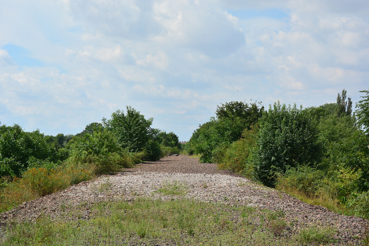 Trauriges Schicksal einer einst bedeutenden Bahnstrecke. Hier führte einst die Kanonenbahn Berlin - Blankenburg. Die Strecke war ehemals 2 gleisig. Später wurde sie 1 gleisig zurück gebaut und 1998 entgültig stillgelegt.

Güsten 02.08.2017