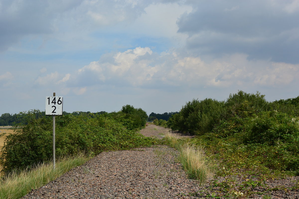 Trauriges Schicksal einer einst bedeutenden Bahnstrecke. Hier führte einst die Kanonenbahn Berlin - Blankenburg. Die Strecke war ehemals 2 gleisig. Später wurde sie 1 gleisig zurück gebaut und 1998 entgültig stillgelegt. Einstig die Hektometertafel hat hier überlebt. Hier hatte die Kanonenbahn bereits eine stolze Länge von 146km.
Heute wäre die Kanonenbahn eine perfekte Strecke für den Ost-West Güterverkehr.

Güsten 02.08.2017